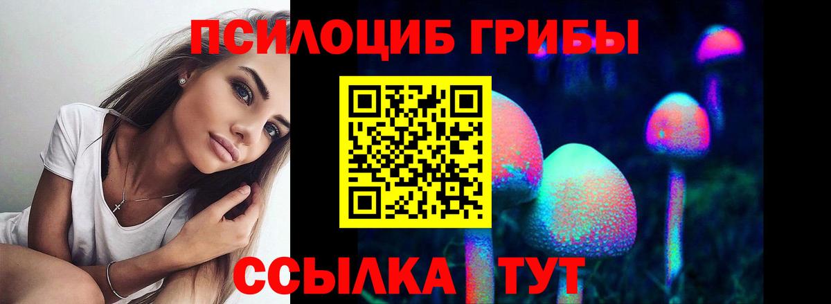 Псилоцибиновые грибы Psilocybe  Псилоцибиновые грибы Psilocybe  Барнаул  Вход с VPN 